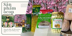 HTX Dịch Vụ Tổng Hợp Na Rì