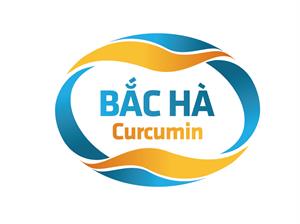 Curcumin Bắc Hà